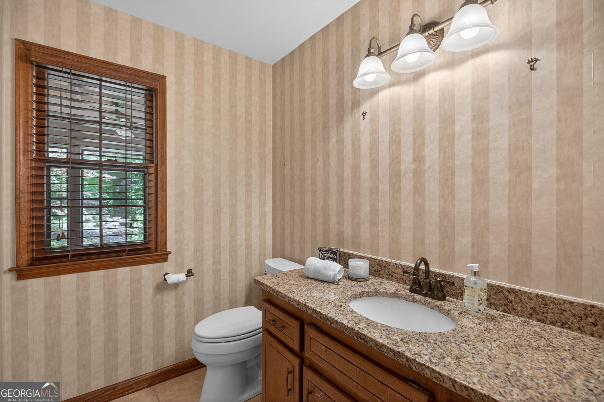 233 Shadowlake Court Marietta GA 30067