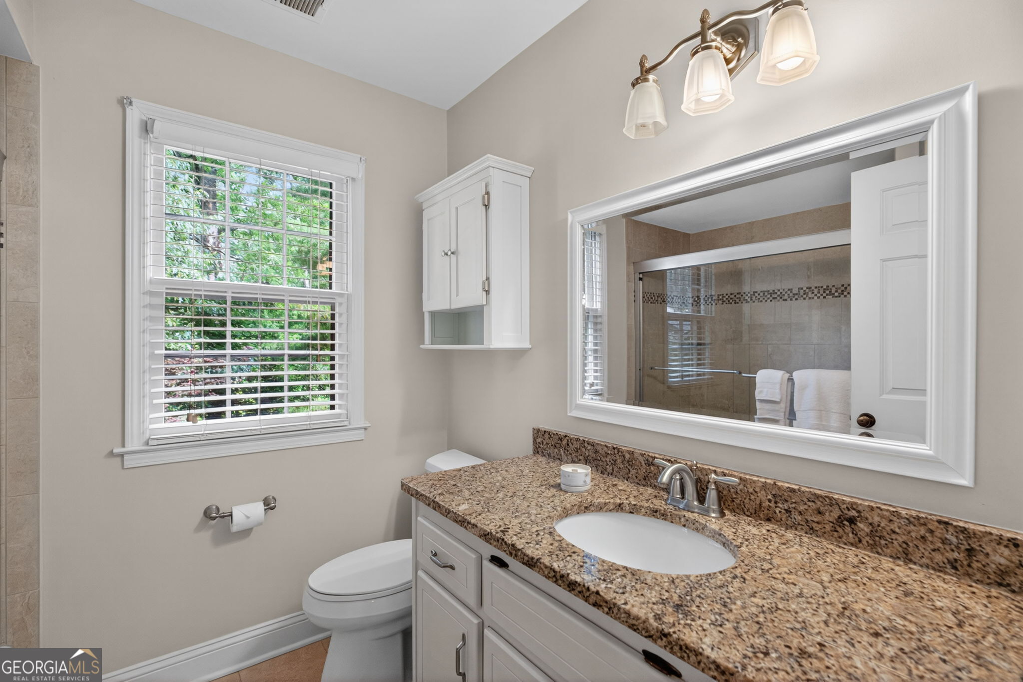233 Shadowlake Court Marietta GA 30067