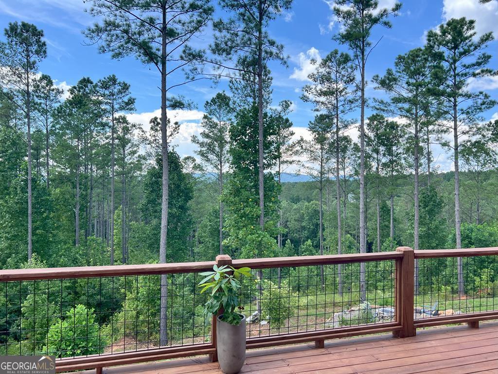 230 High River Landing Ellijay GA 30540