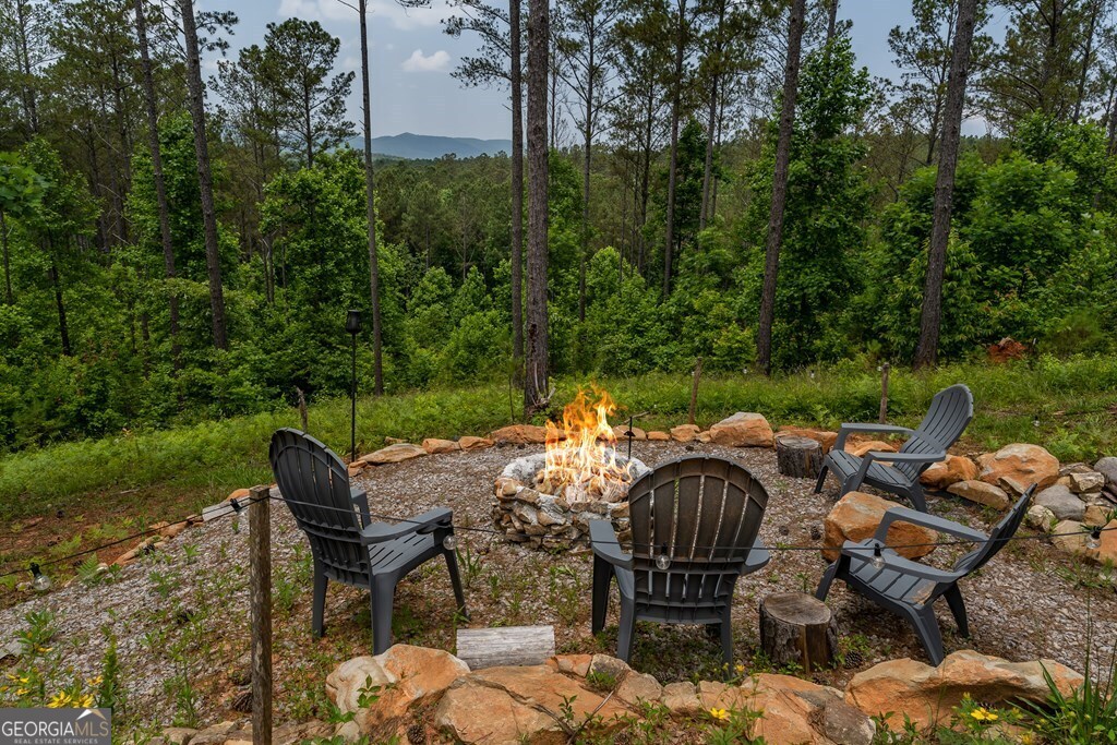 230 High River Landing Ellijay GA 30540
