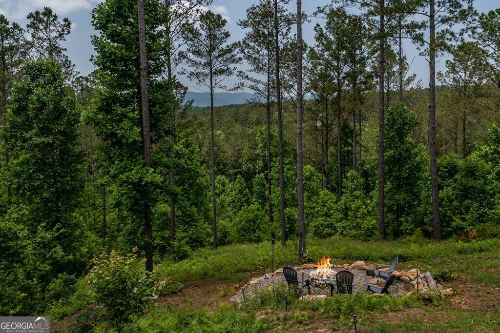 230 High River Landing Ellijay GA 30540
