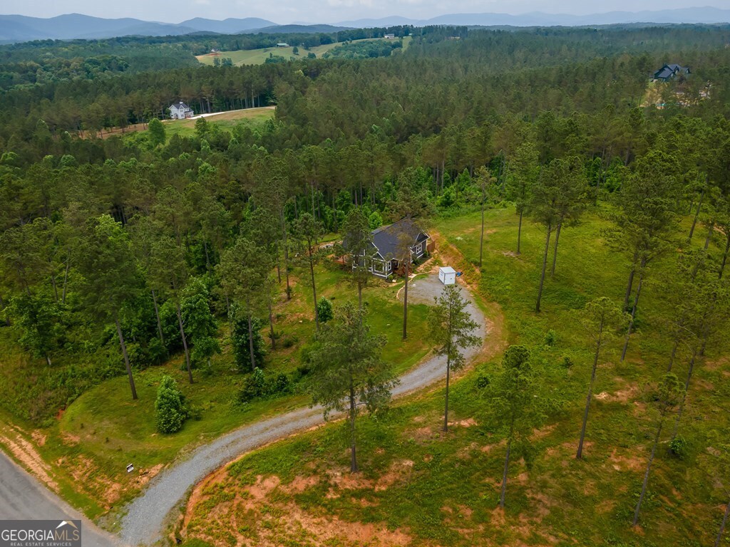 230 High River Landing Ellijay GA 30540