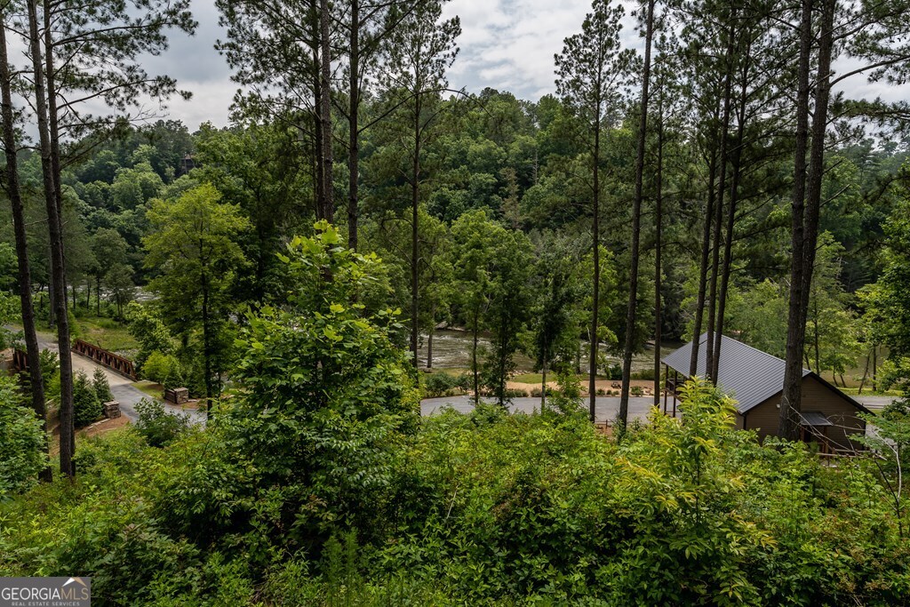 230 High River Landing Ellijay GA 30540