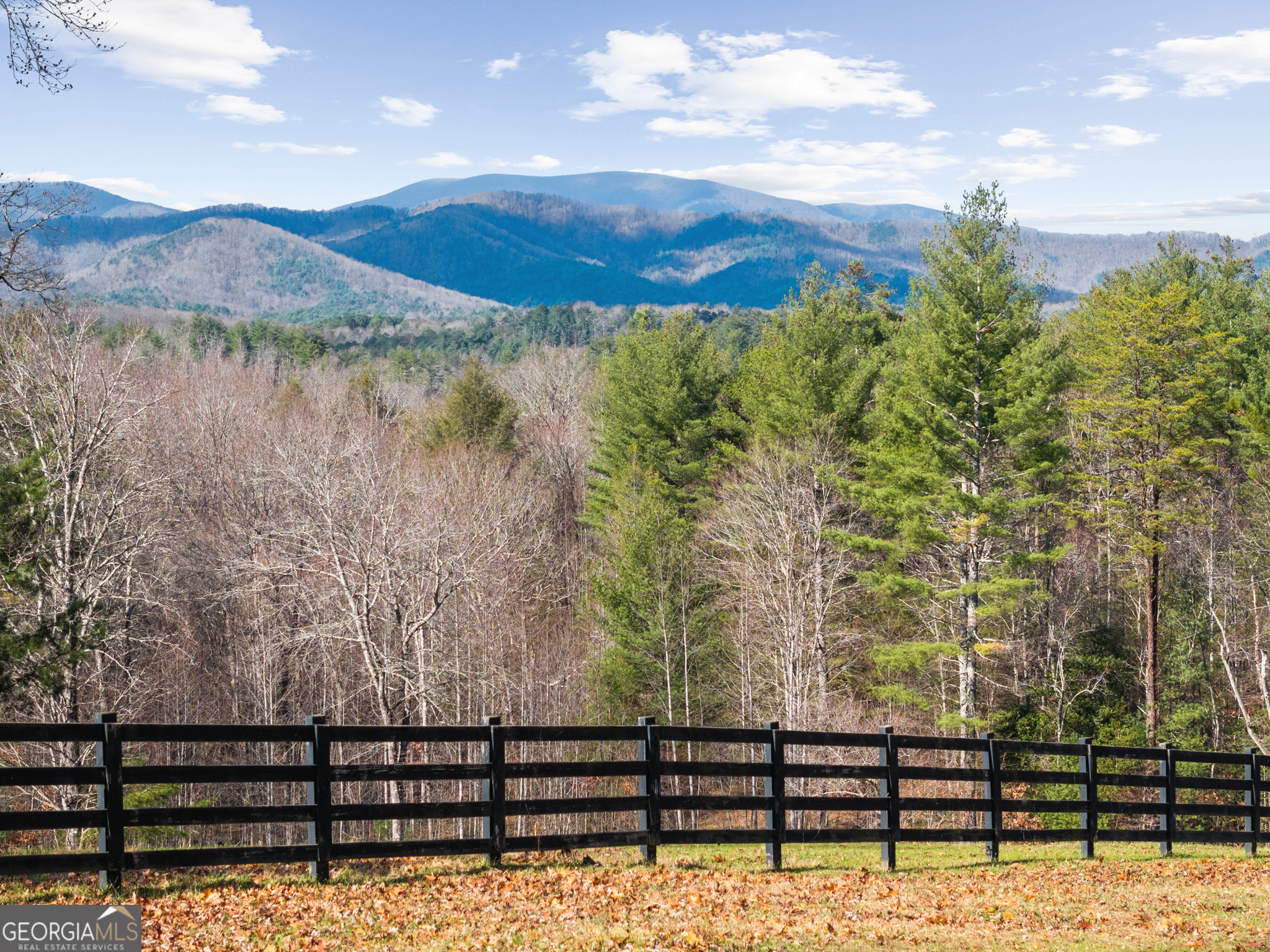 98 S Saddleback Trail Blue Ridge GA 30513