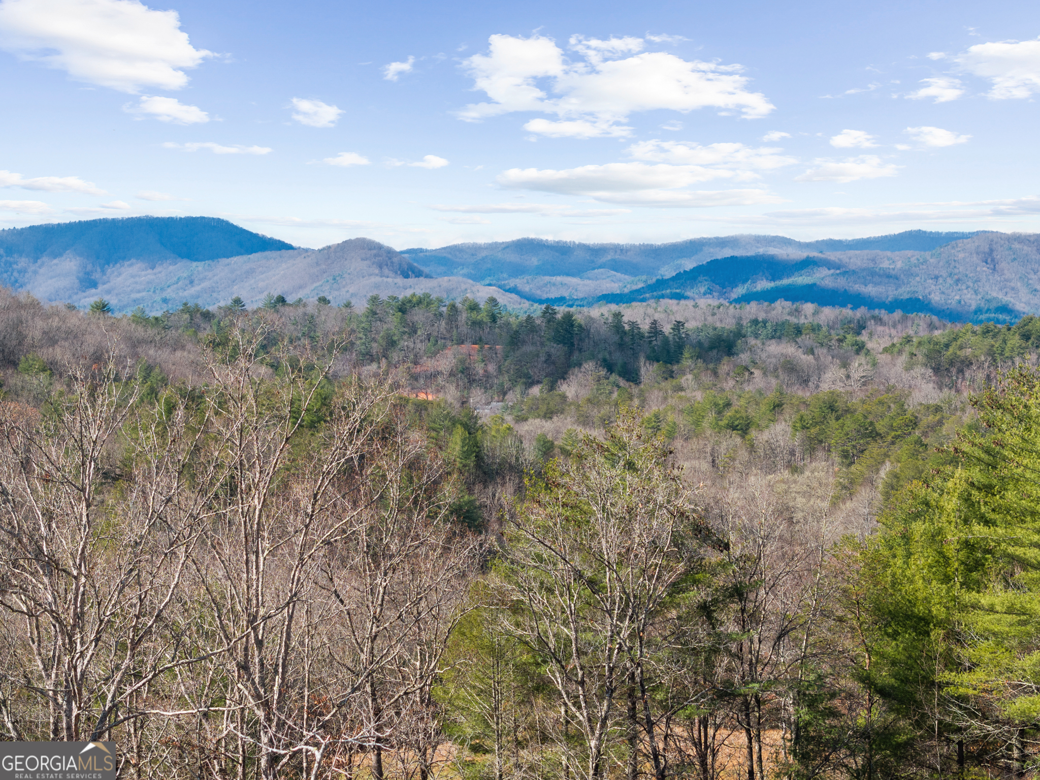 98 S Saddleback Trail Blue Ridge GA 30513