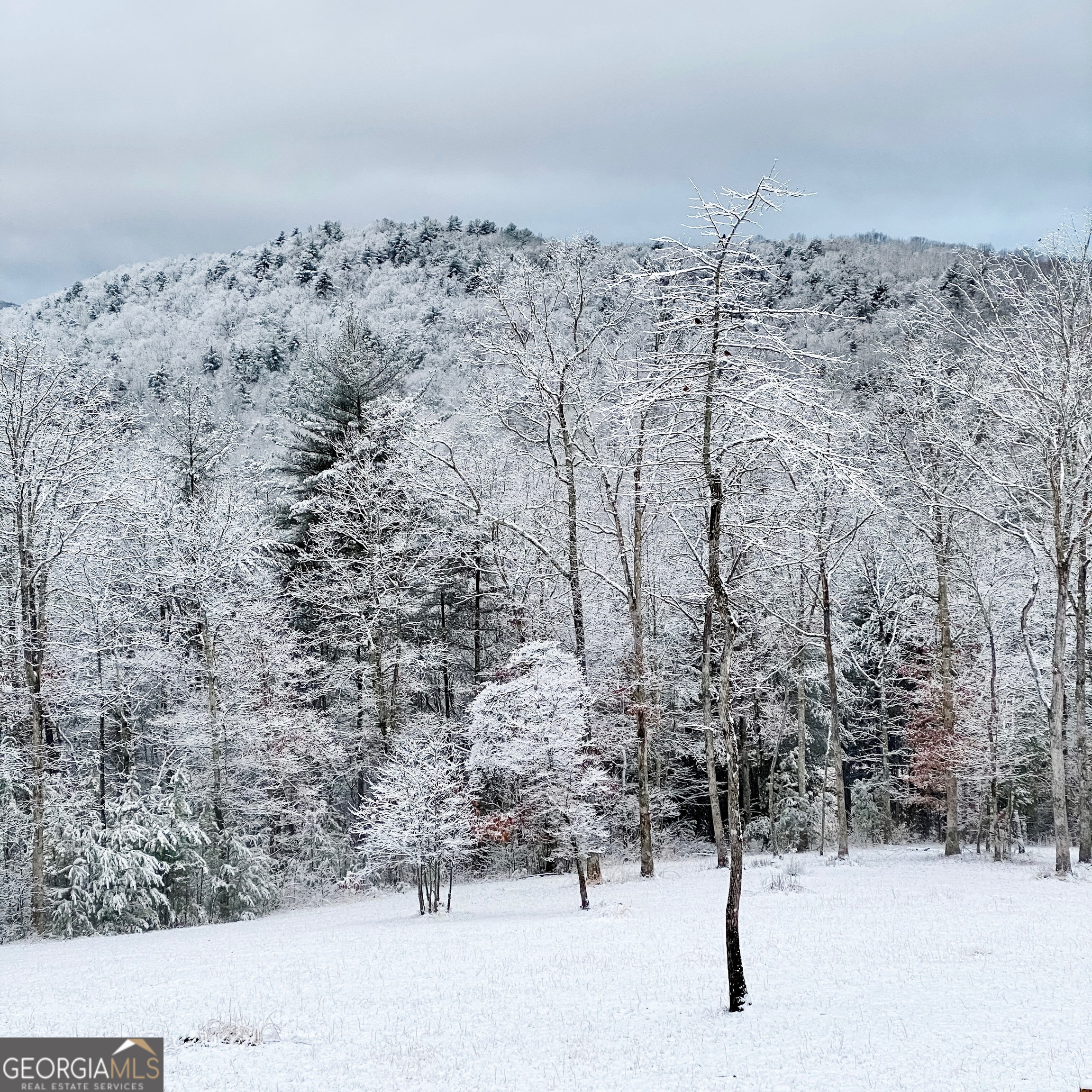 98 S Saddleback Trail Blue Ridge GA 30513