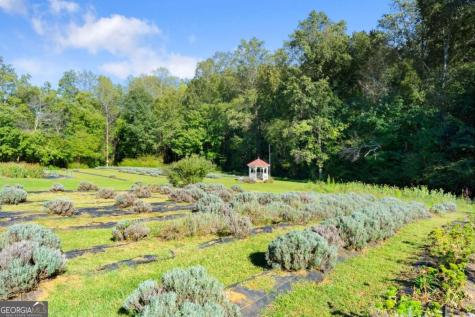 2882 Red Oak Flats Road Dahlonega GA 30533