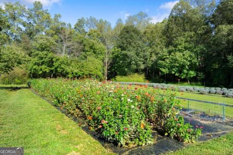 2882 Red Oak Flats Road Dahlonega GA 30533
