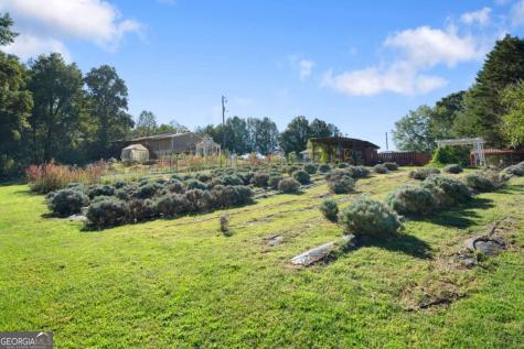 2882 Red Oak Flats Road Dahlonega GA 30533