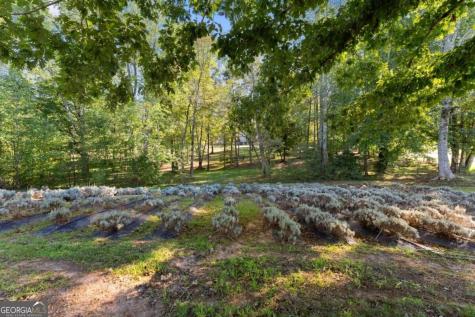 2882 Red Oak Flats Road Dahlonega GA 30533