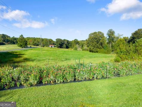 2882 Red Oak Flats Road Dahlonega GA 30533