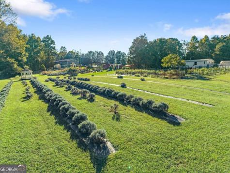 2882 Red Oak Flats Road Dahlonega GA 30533