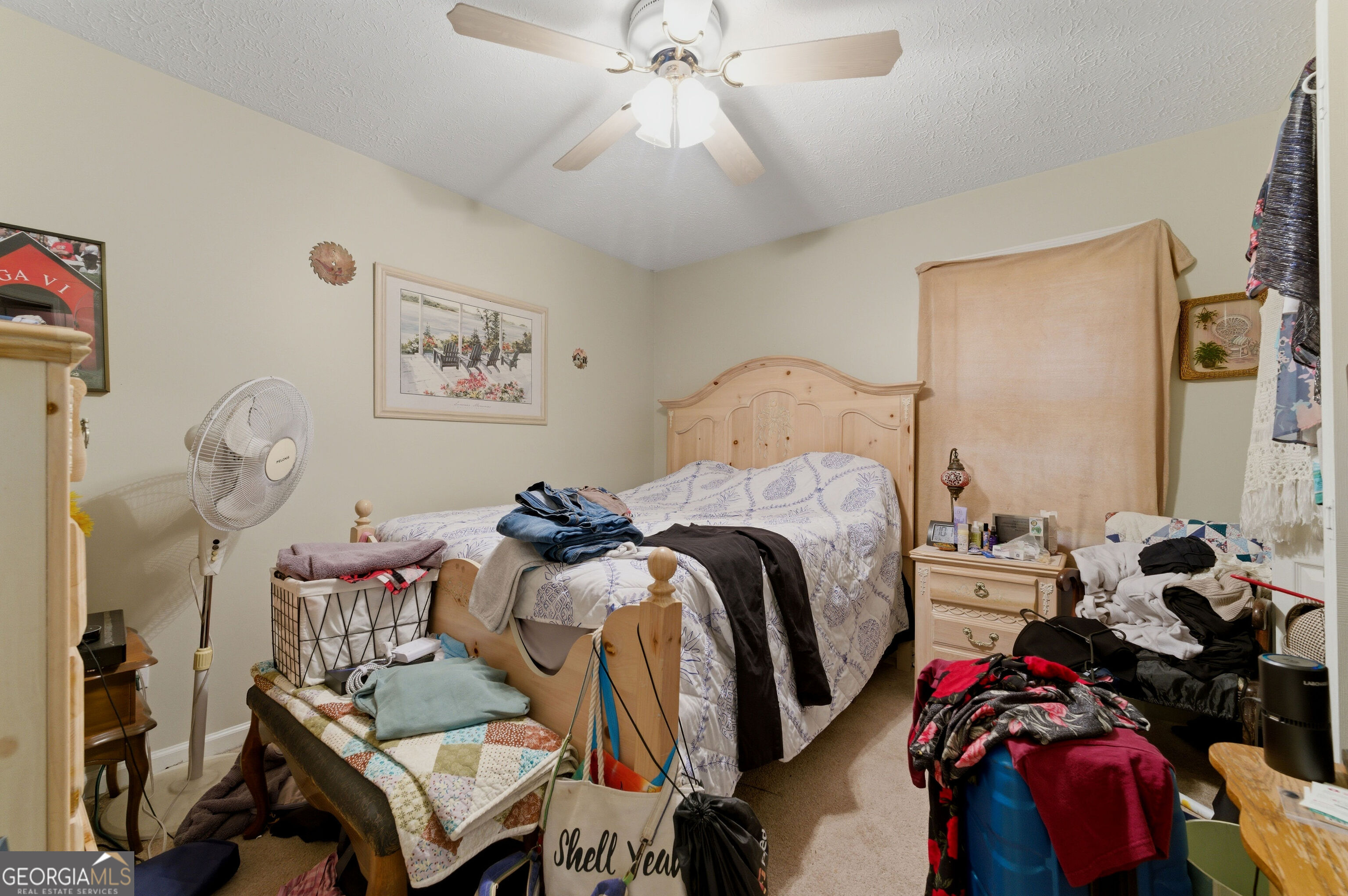 800 Lodgeview Drive Bethlehem GA 30620