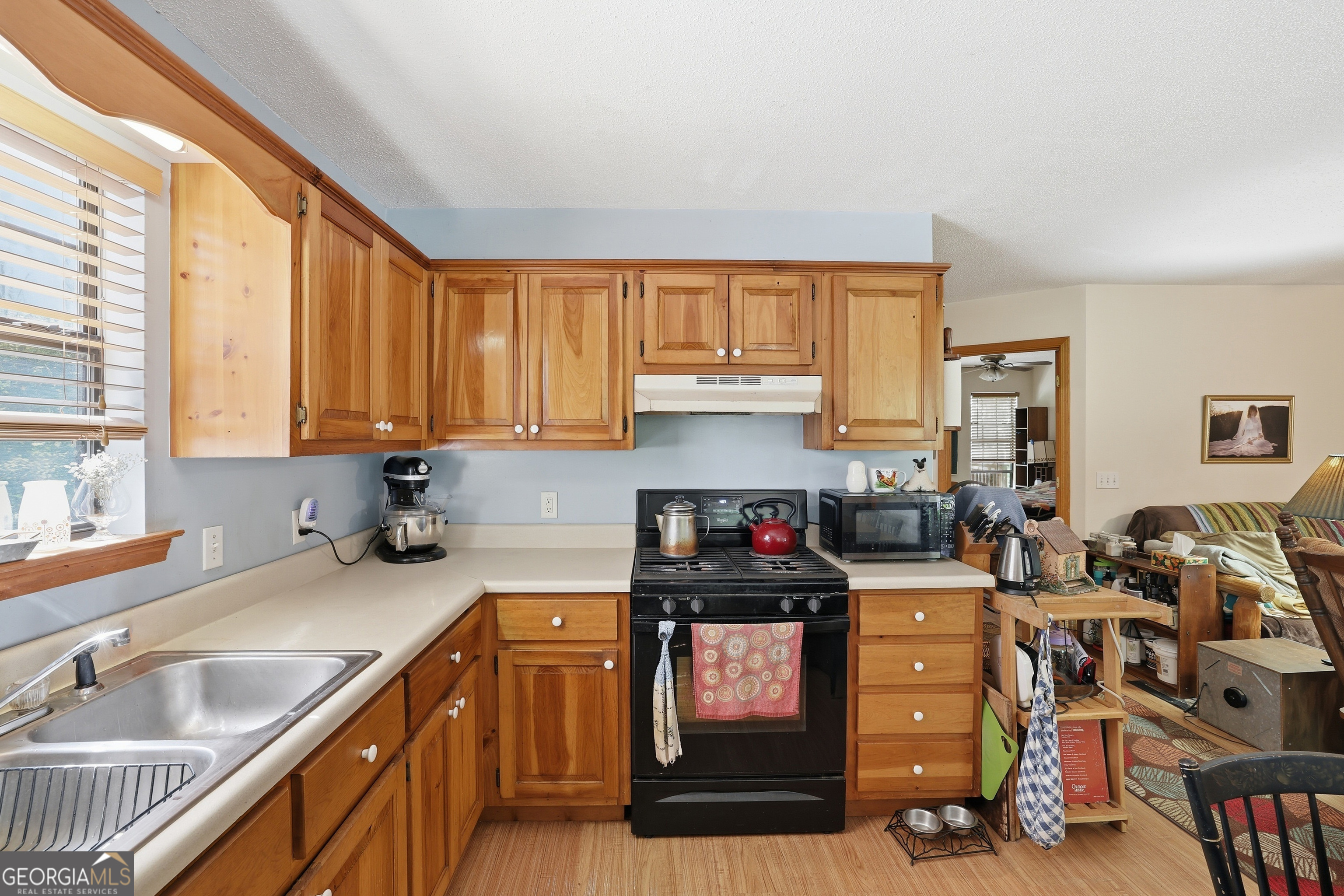 55 Deavours Lane Cleveland GA 30528
