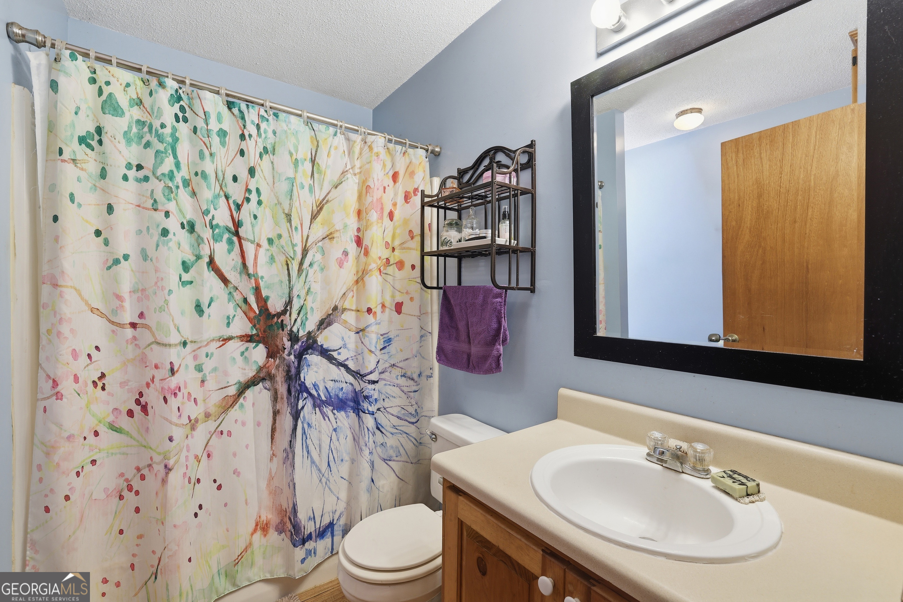 55 Deavours Lane Cleveland GA 30528
