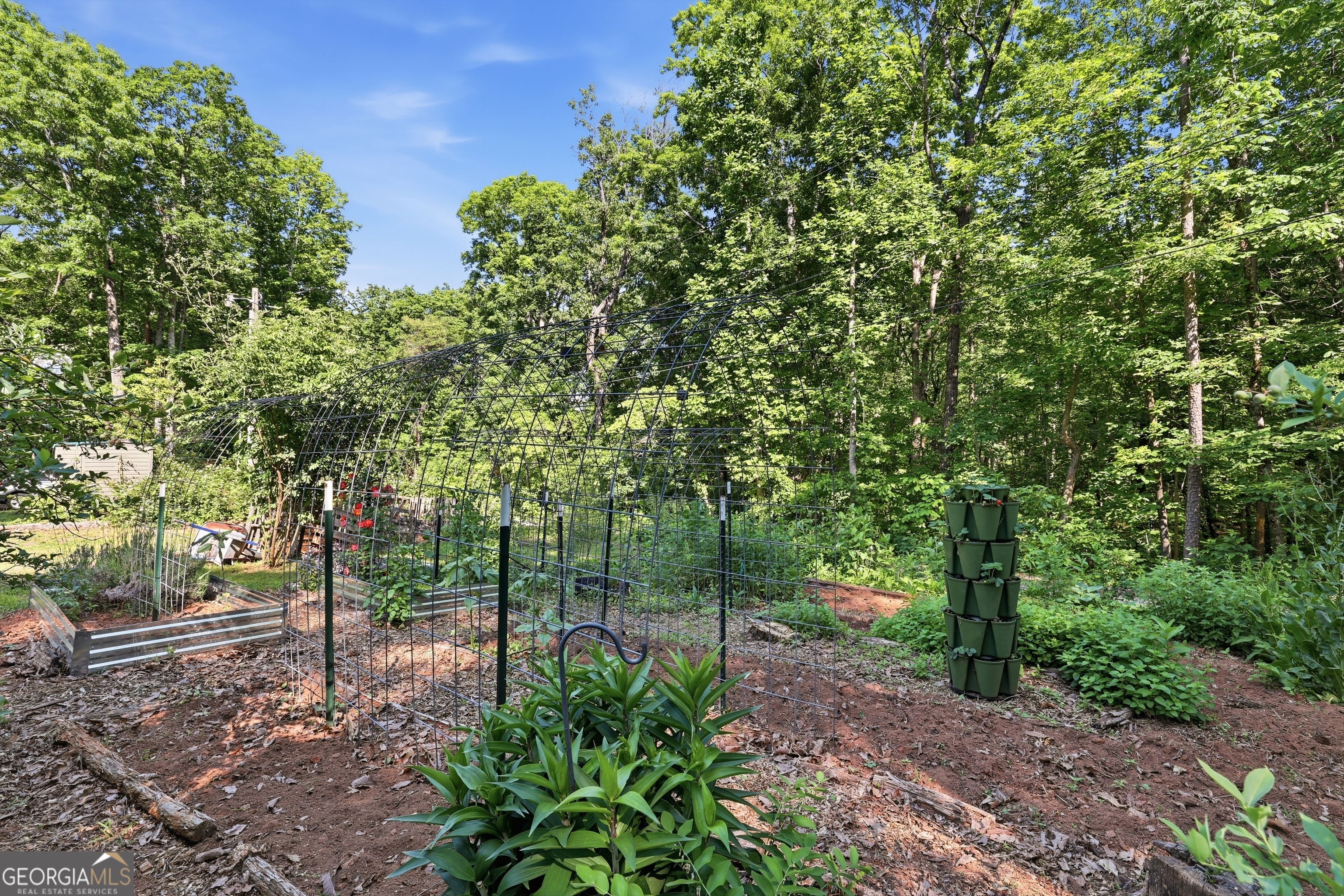 55 Deavours Lane Cleveland GA 30528