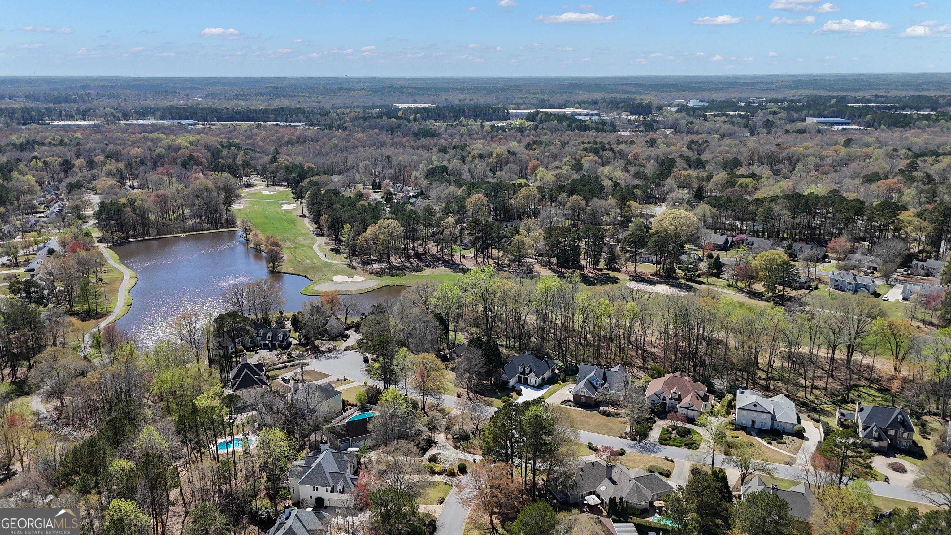1009 Pleasance Grove Peachtree City GA 30269