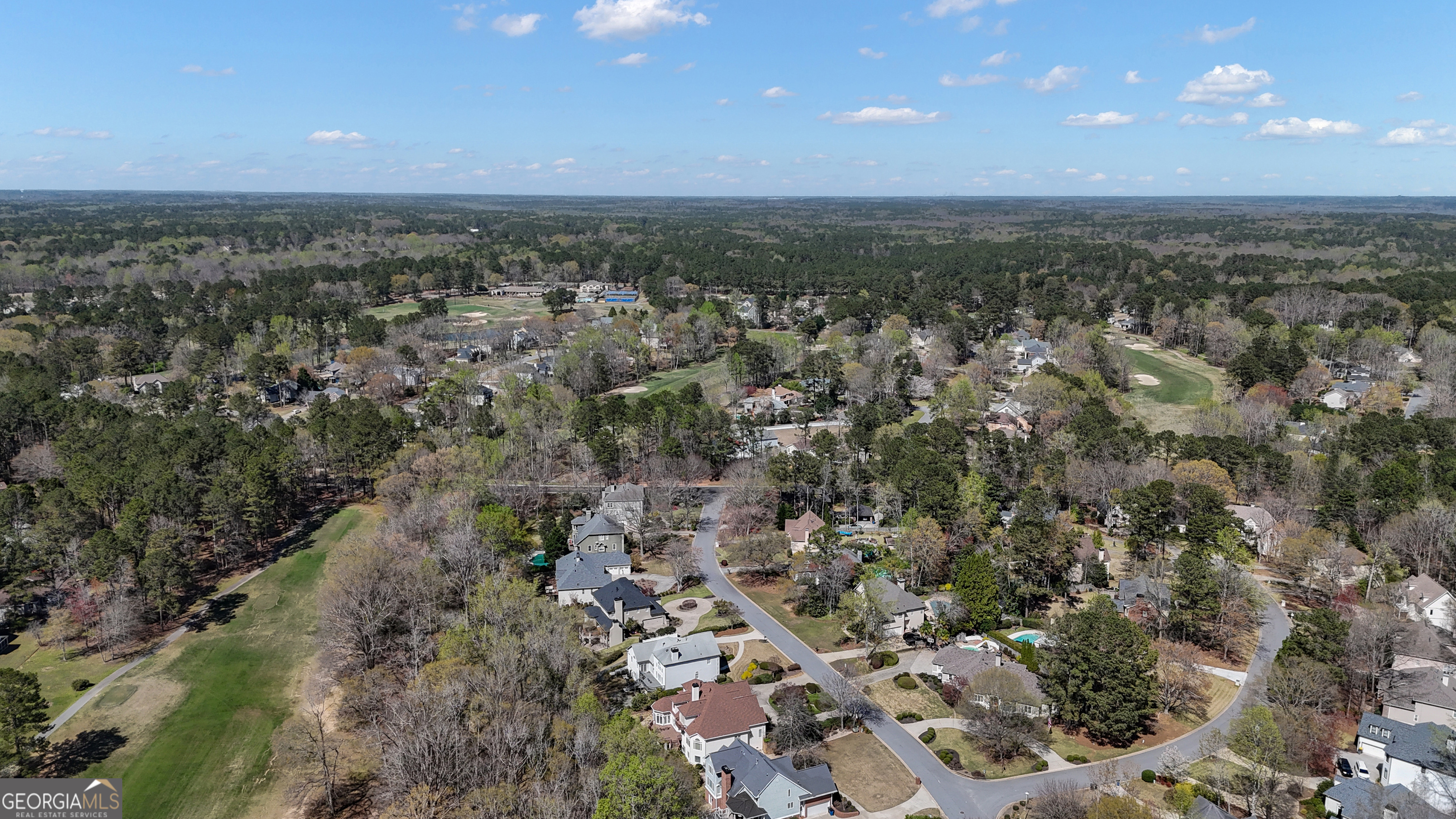 1009 Pleasance Grove Peachtree City GA 30269