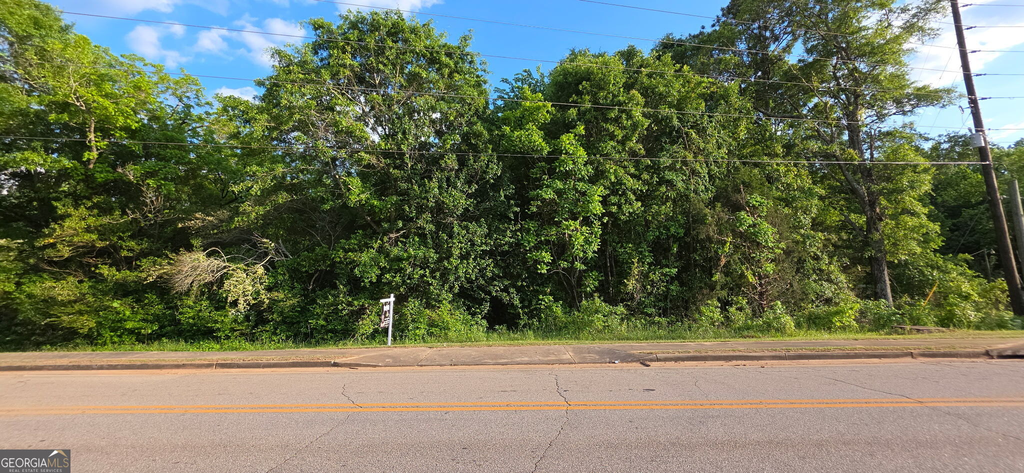 0 County Farm Road Zebulon GA 30295
