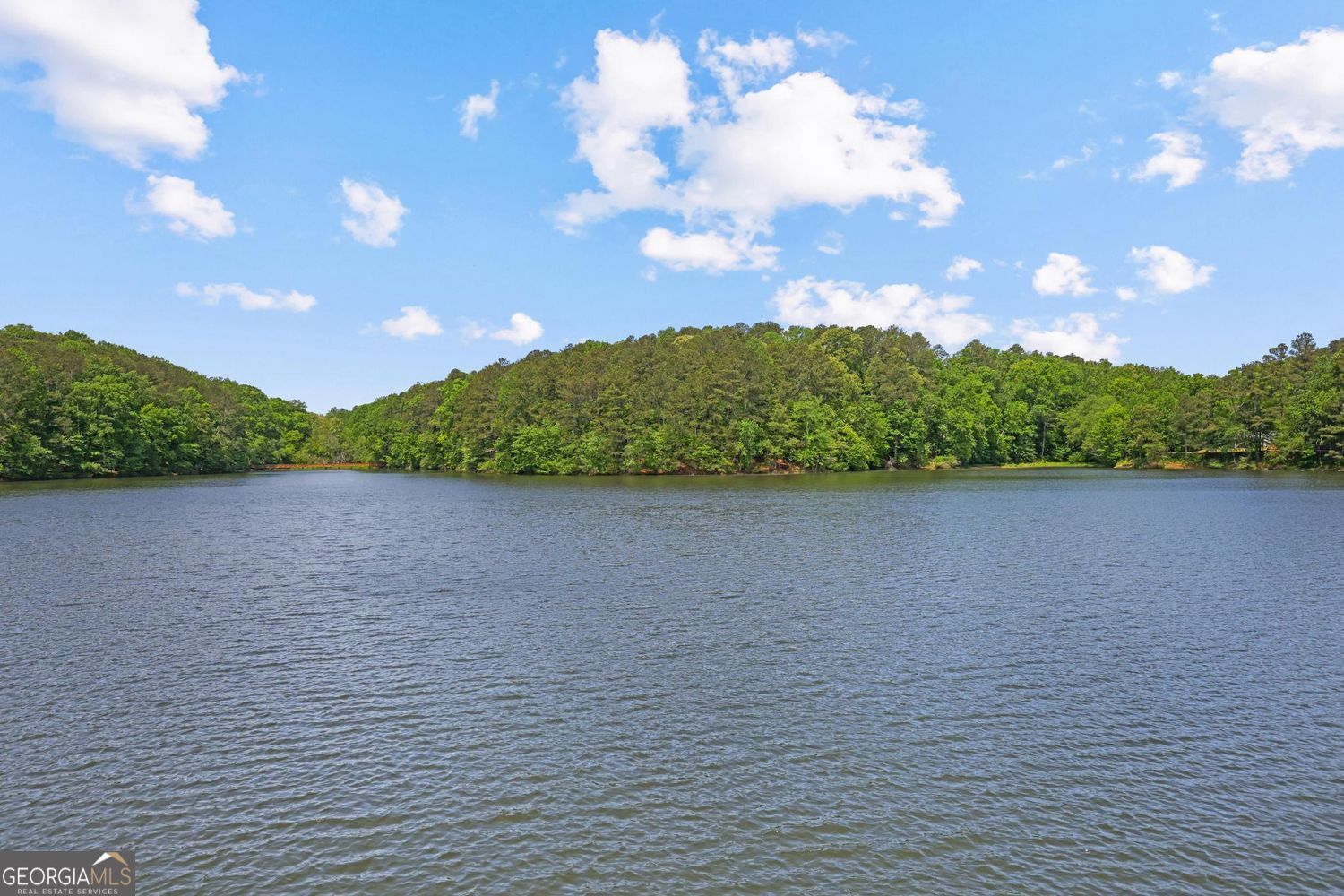124 Bergenia Way Canton GA 30115