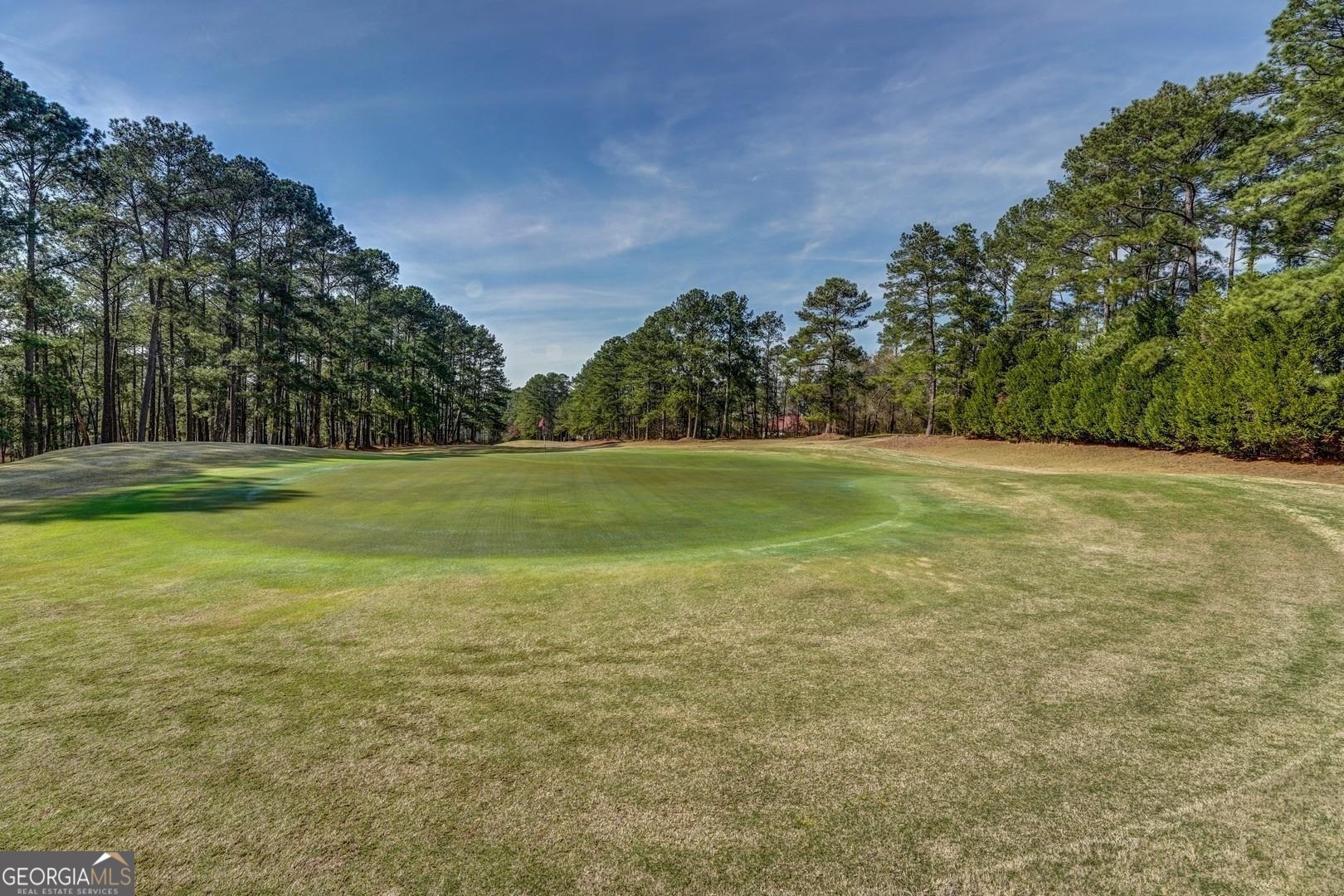 67 Pelican Circle Monticello GA 31064