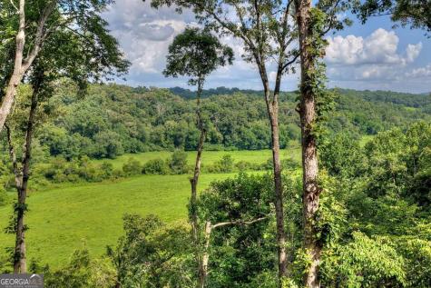 1729 Barnes Chapel Road Blue Ridge GA 30513