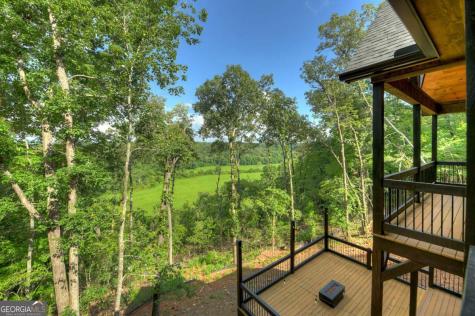 1729 Barnes Chapel Road Blue Ridge GA 30513