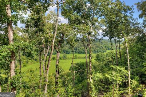 1729 Barnes Chapel Road Blue Ridge GA 30513