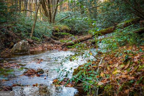90 Hay Lane Morganton GA 30560