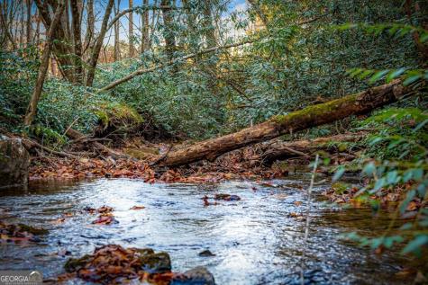 90 Hay Lane Morganton GA 30560