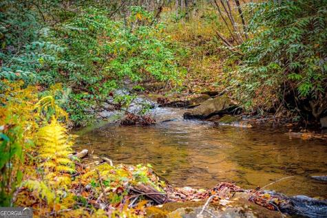 90 Hay Lane Morganton GA 30560
