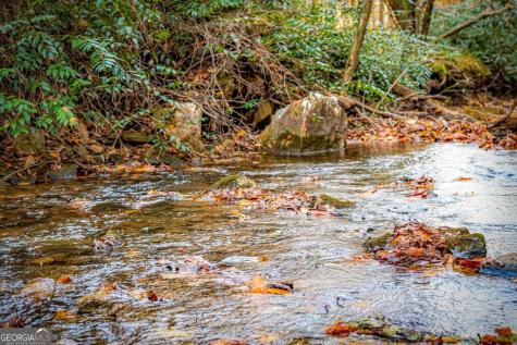 90 Hay Lane Morganton GA 30560