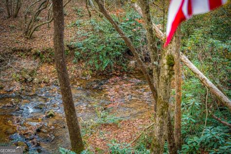 90 Hay Lane Morganton GA 30560
