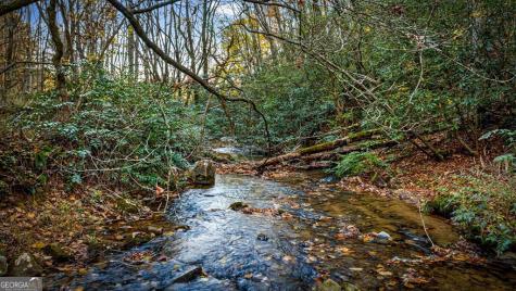90 Hay Lane Morganton GA 30560