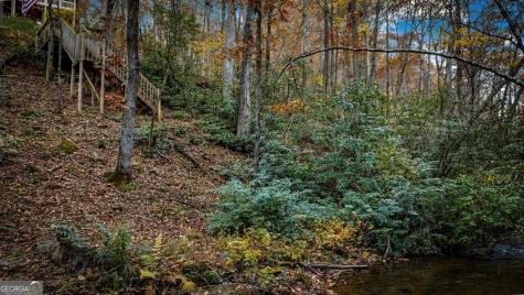 90 Hay Lane Morganton GA 30560