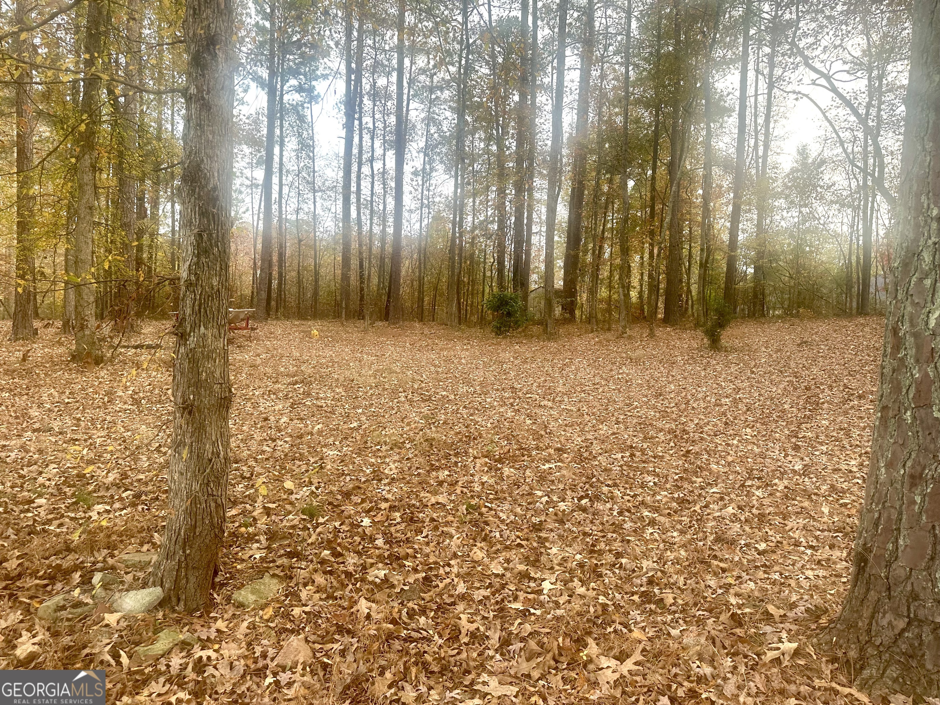 1836 Pinecrest Drive Griffin GA 30223