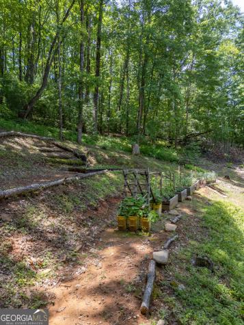 210 Mcdaniel Lane Suches GA 30572