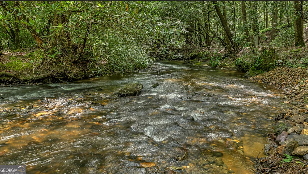 30 Stanley Creek Crossing Cherry Log GA 30522