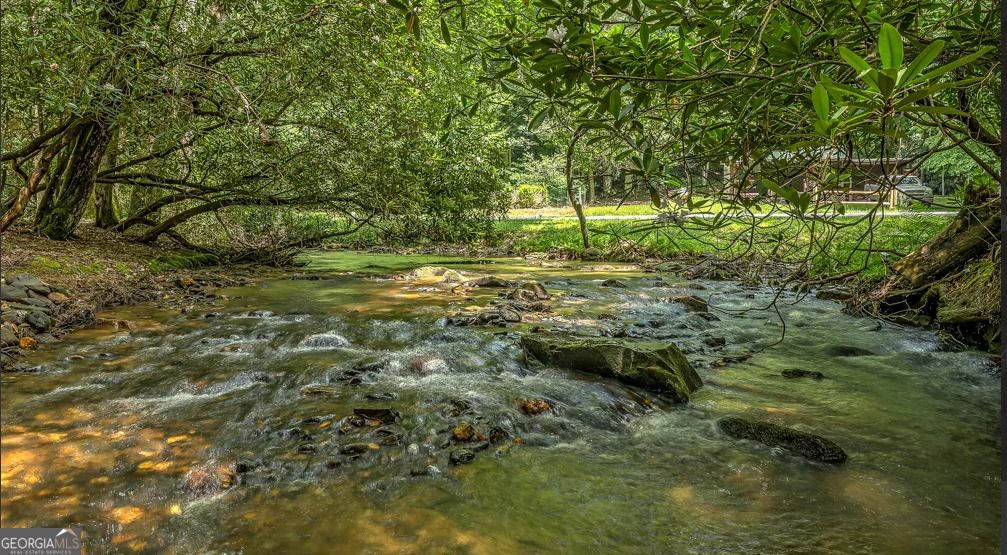 30 Stanley Creek Crossing Cherry Log GA 30522