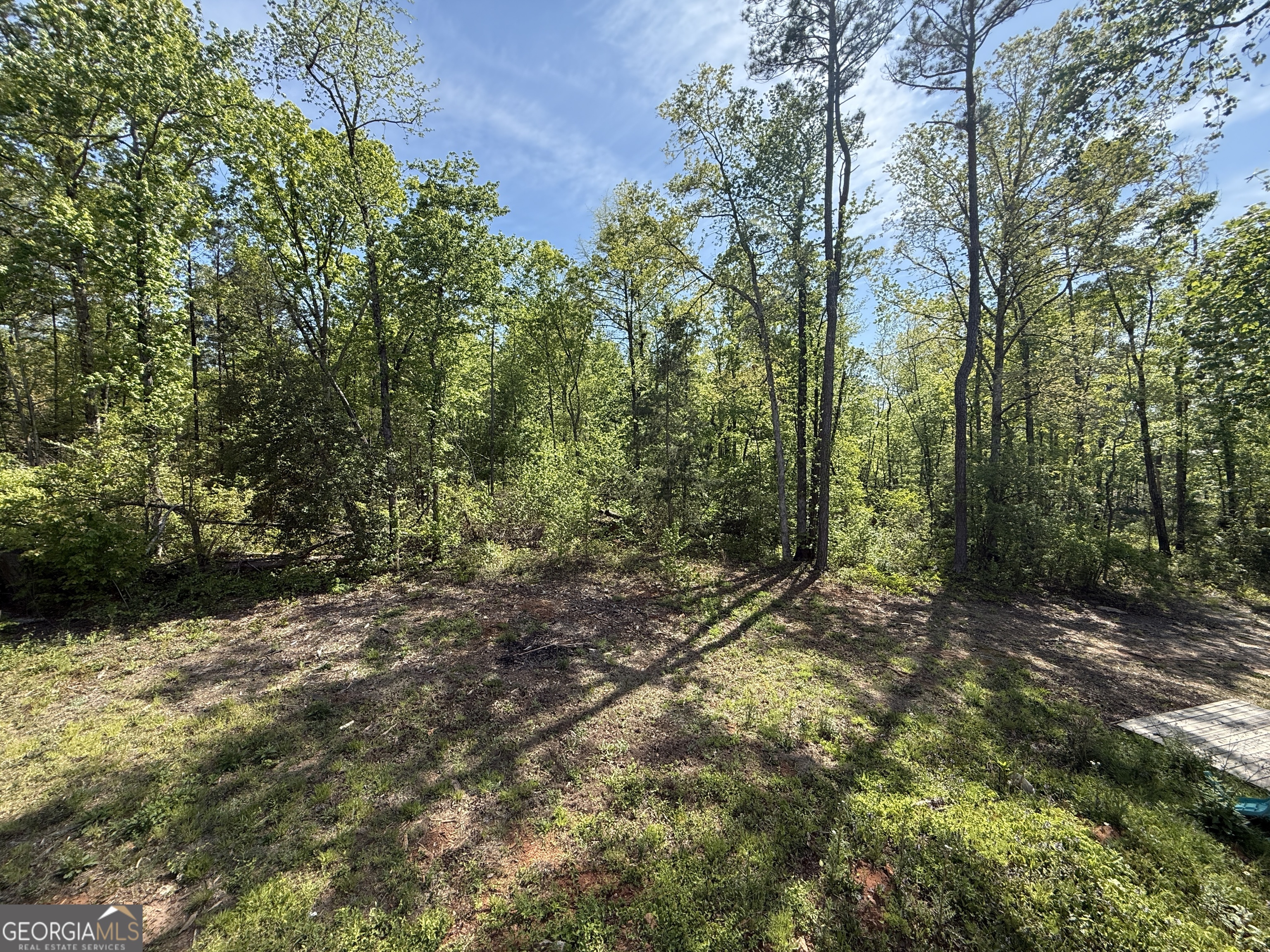 9 Cherokee Resort Road Pine Mountain GA 31822