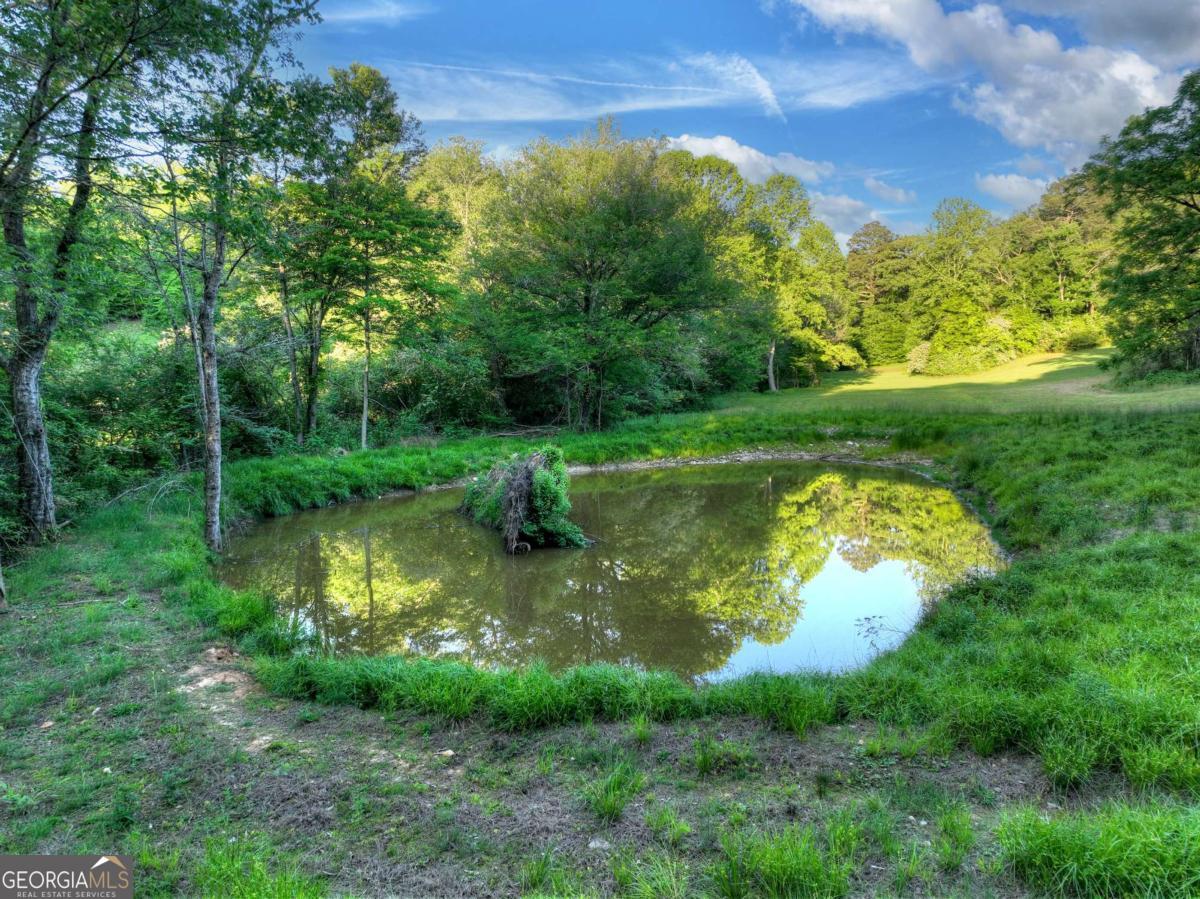 291 Kyle Arp Blue Ridge GA 30513