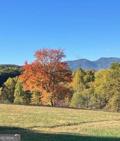958 New Forest Road Young Harris GA 30582