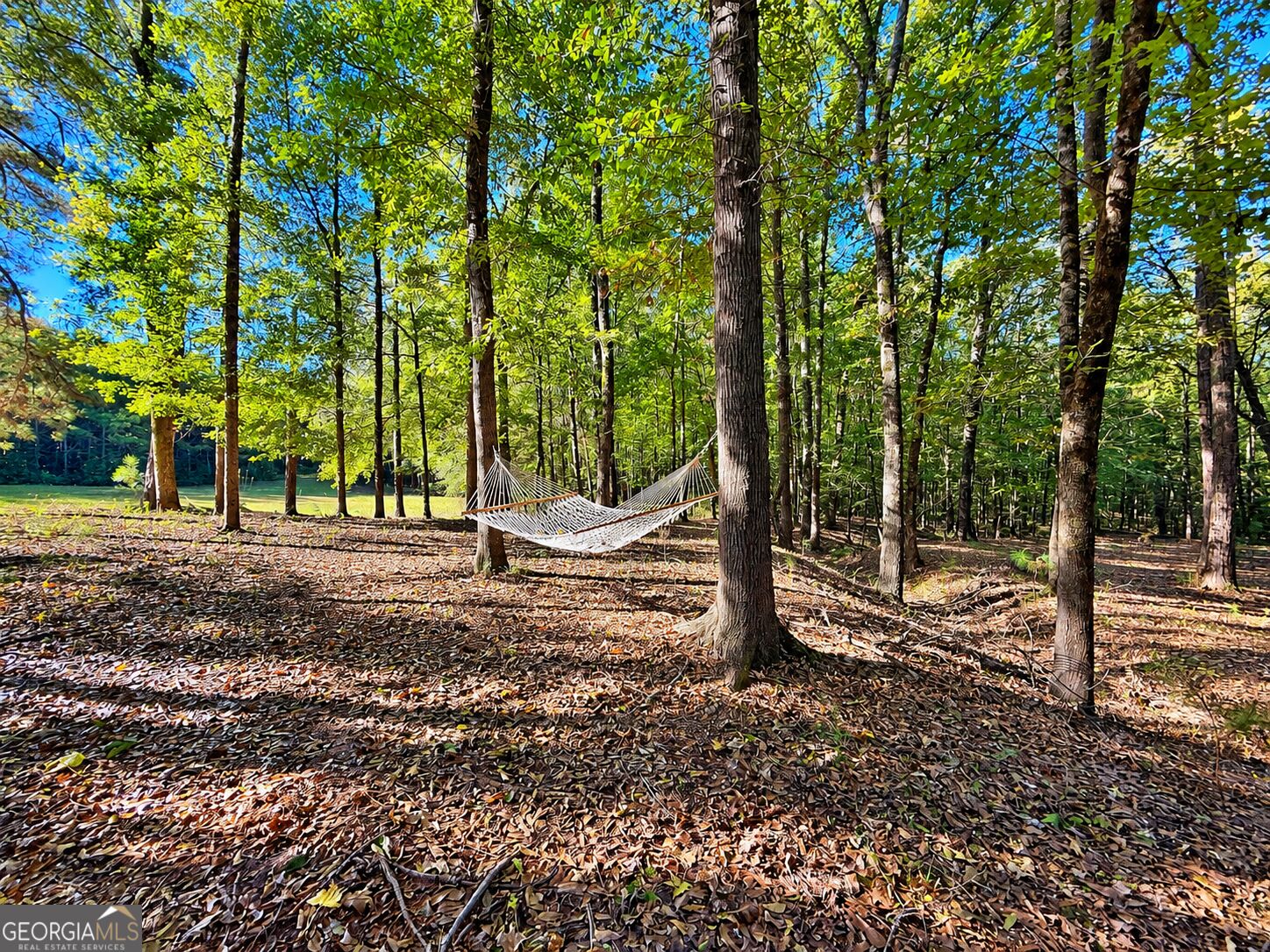 2323 Pleasant Valley Road Woodland GA 31836
