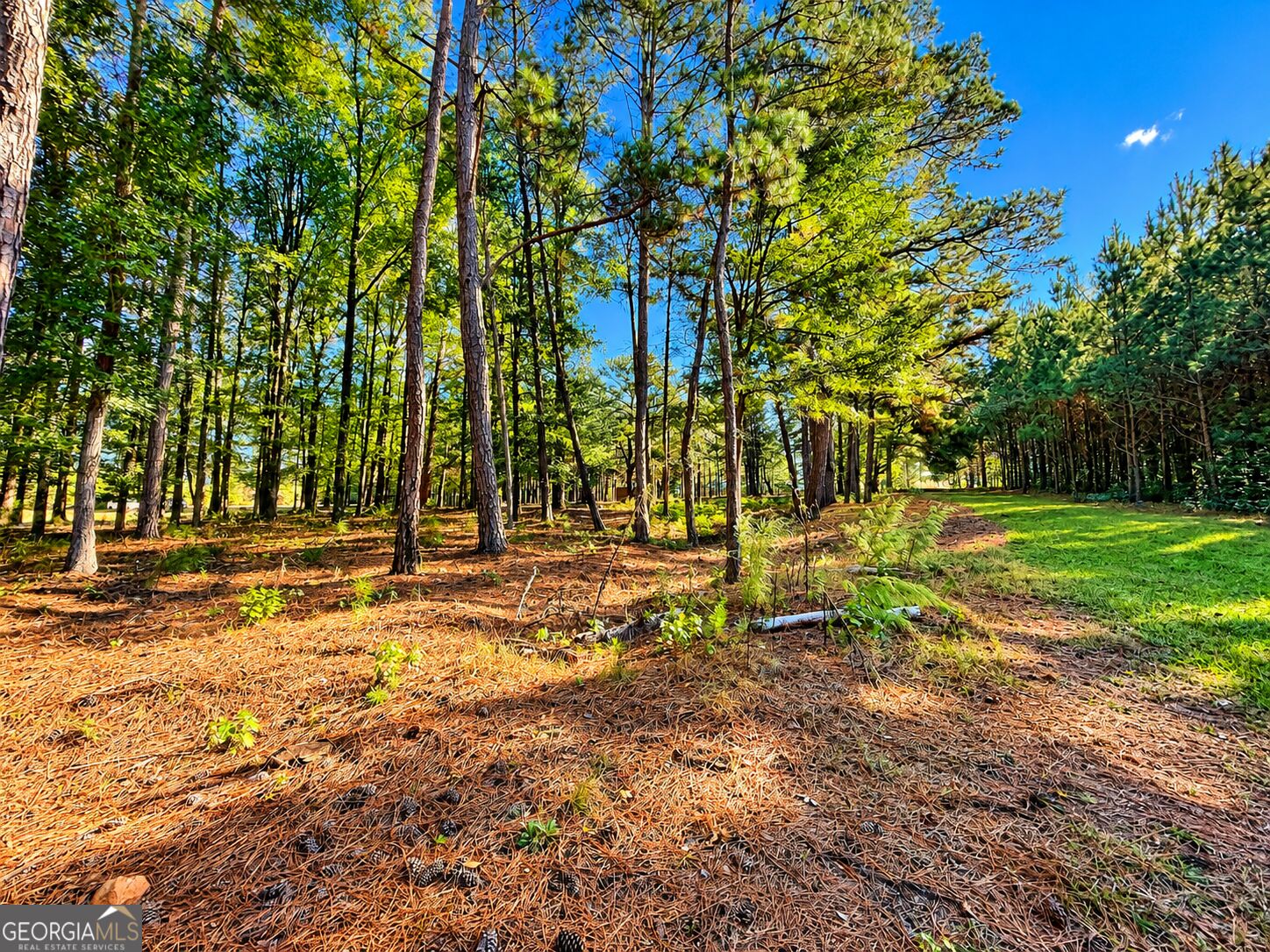 2323 Pleasant Valley Road Woodland GA 31836