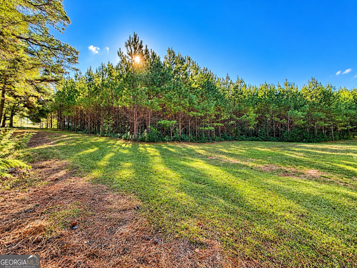 2323 Pleasant Valley Road Woodland GA 31836