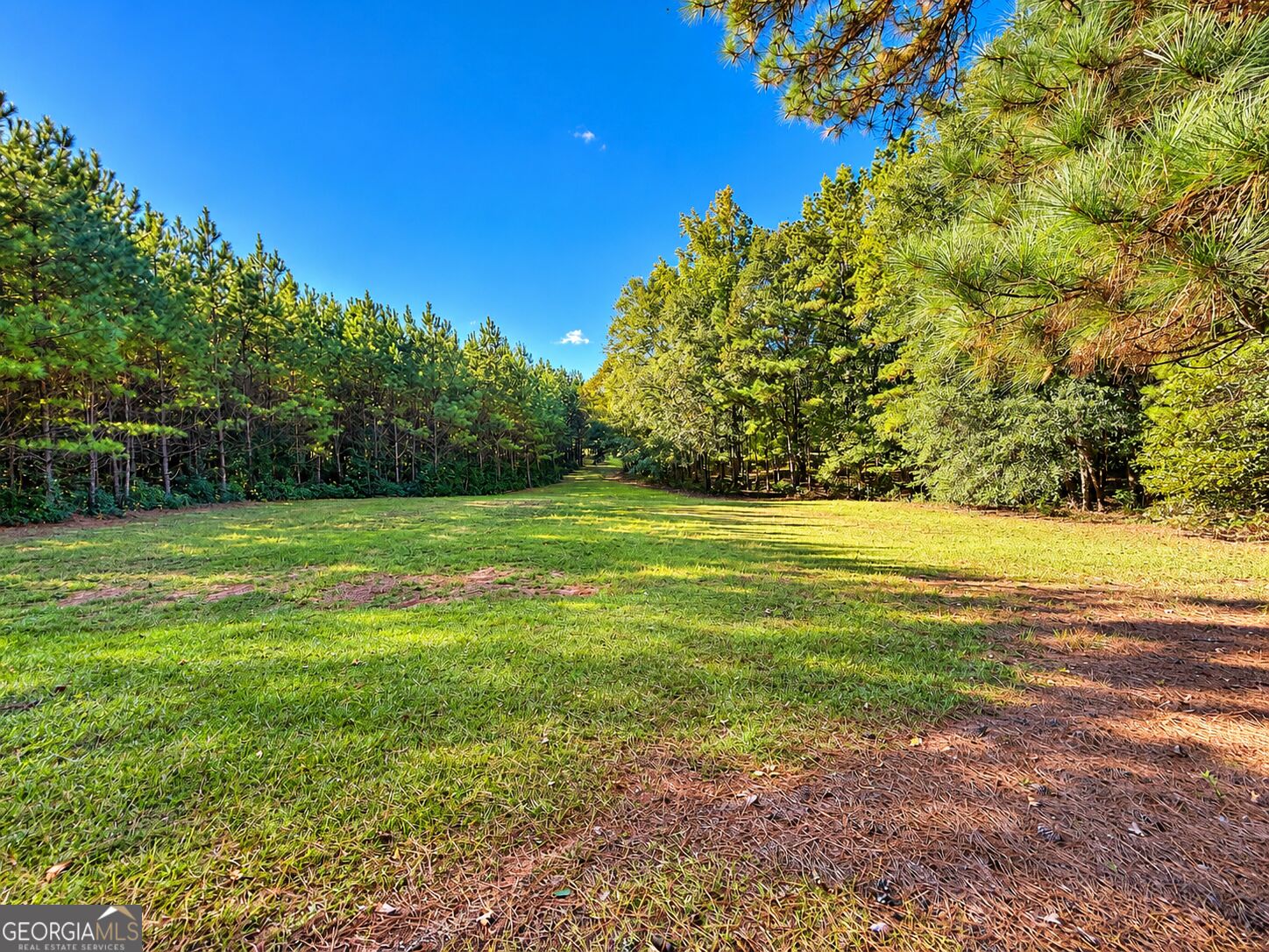 2323 Pleasant Valley Road Woodland GA 31836