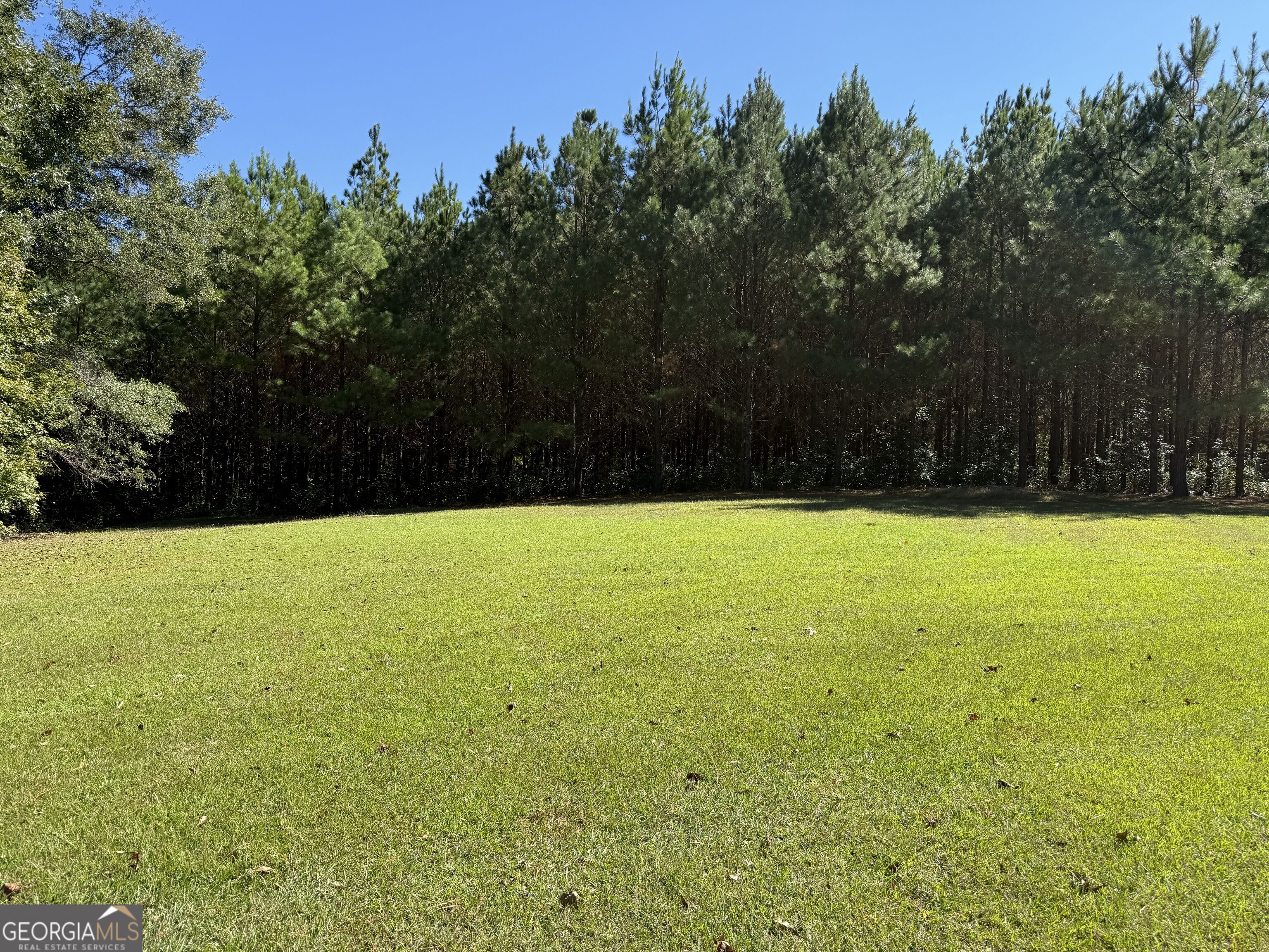 2323 Pleasant Valley Road Woodland GA 31836