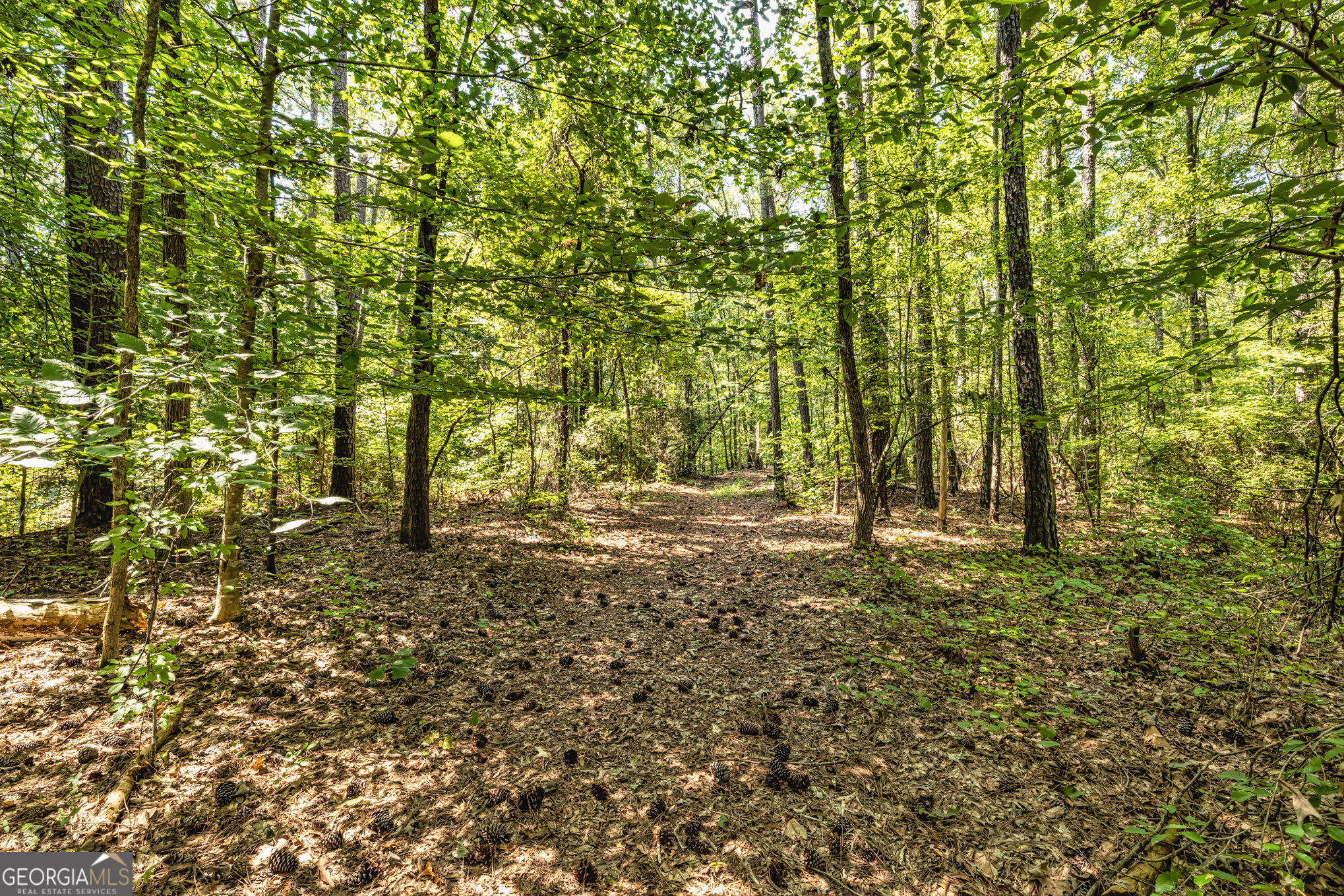 210 Mockingbird Lane Brooks GA 30205