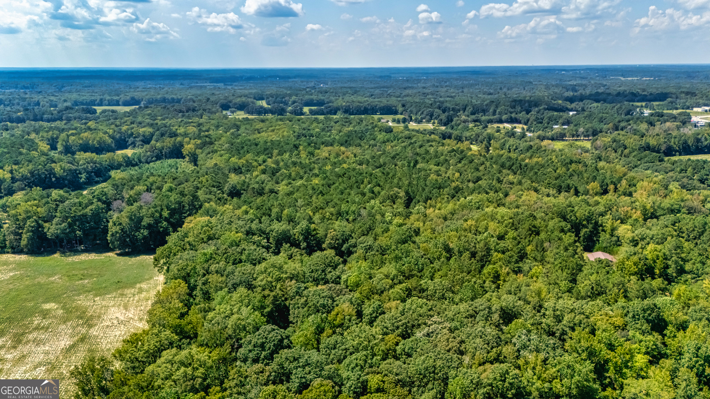 210 Mockingbird Lane Brooks GA 30205