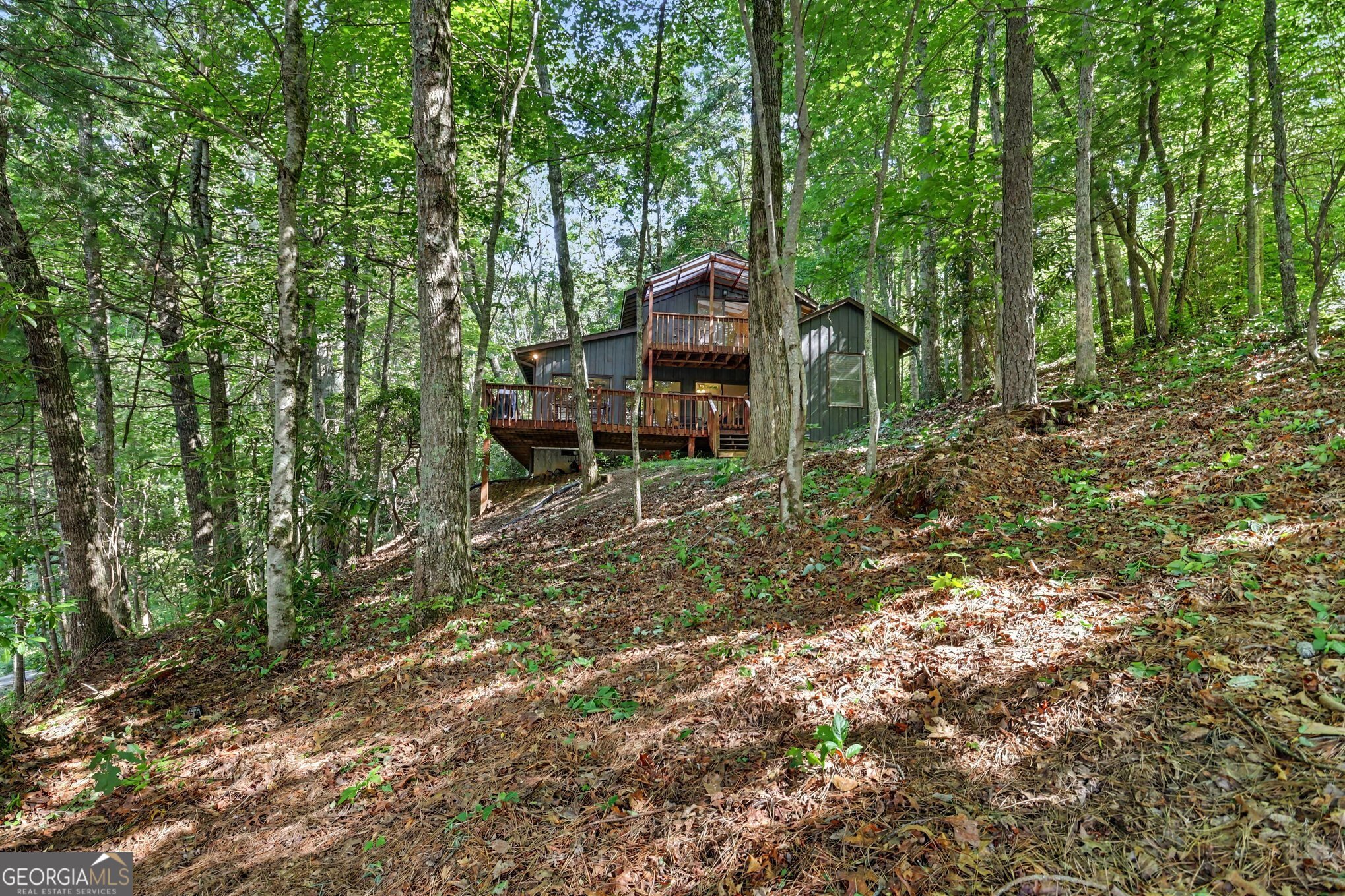 717 Bald Mountain Road Sky Valley GA 30537